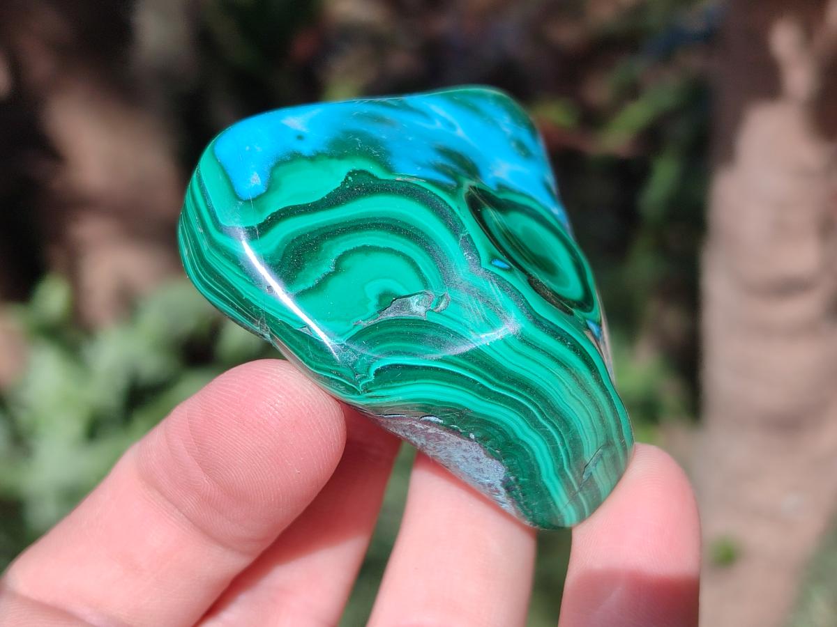 Polished Malacolla Free Forms x 6 From Kulukuluku, Congo - Toprock Gemstones and Minerals 