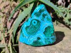 Polished Malacolla Free Forms x 6 From Kulukuluku, Congo - Toprock Gemstones and Minerals 
