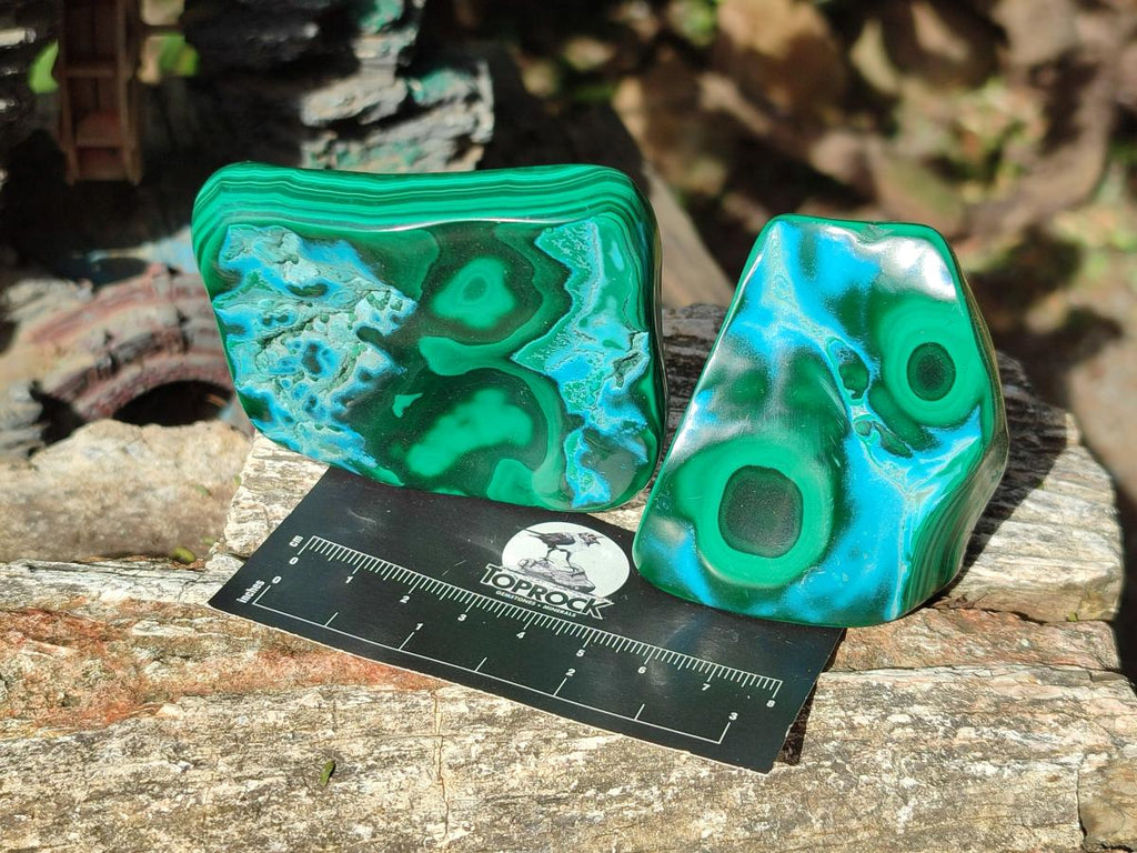Polished Malacolla Free Forms x 6 From Kulukuluku, Congo - Toprock Gemstones and Minerals 
