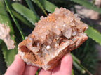 Natural Golden Limonite Quartz Cluster Specimens with Goethite x 13 From Solwezi, Zambia - Toprock Gemstones and Minerals 