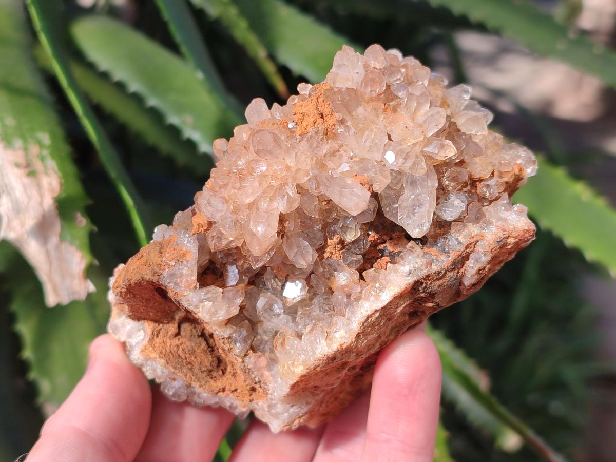 Natural Golden Limonite Quartz Cluster Specimens with Goethite x 13 From Solwezi, Zambia - Toprock Gemstones and Minerals 