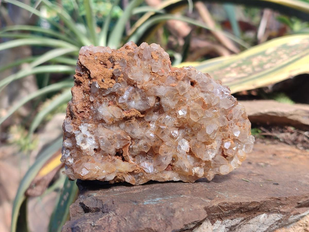 Natural Golden Limonite Quartz Cluster Specimens with Goethite x 13 From Solwezi, Zambia - Toprock Gemstones and Minerals 