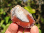 Polished One Side Red Shashe River Agate Nodules x 24 From Shashe River, Zimbabwe - Toprock Gemstones and Minerals 