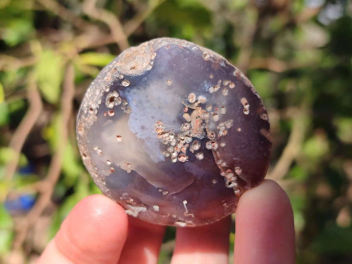 Polished One Side Red Shashe River Agate Nodules x 24 From Shashe River, Zimbabwe - Toprock Gemstones and Minerals 