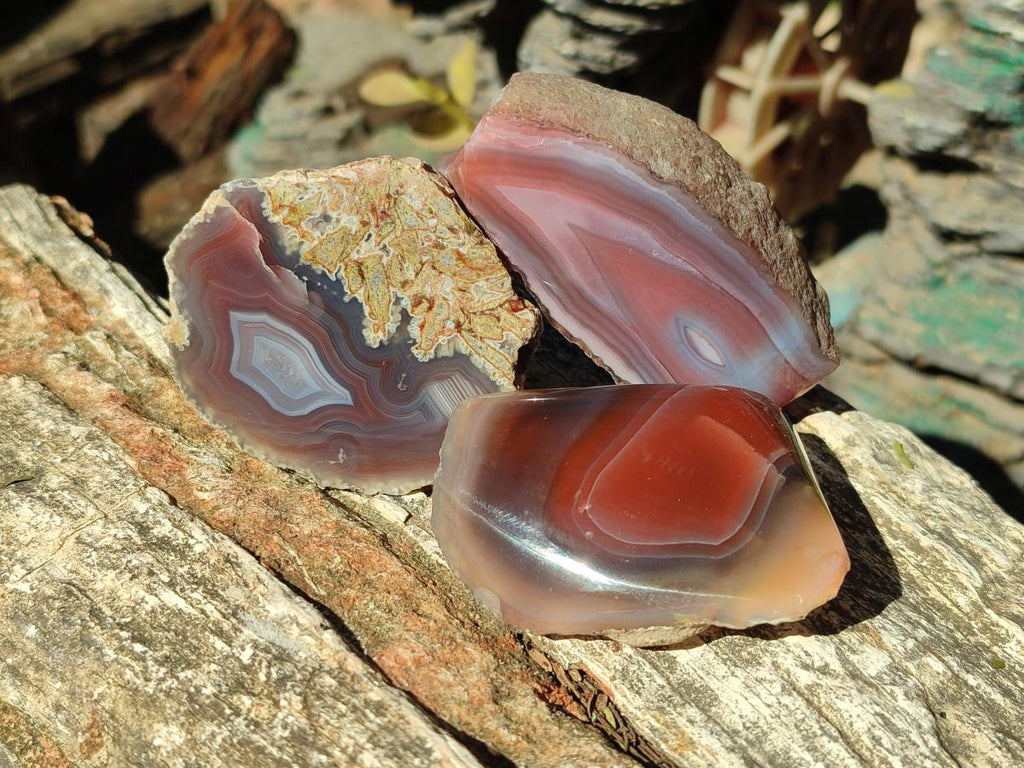 Polished One Side Red Shashe River Agate Nodules x 24 From Shashe River, Zimbabwe - Toprock Gemstones and Minerals 
