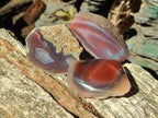 Polished One Side Red Shashe River Agate Nodules x 24 From Shashe River, Zimbabwe - Toprock Gemstones and Minerals 