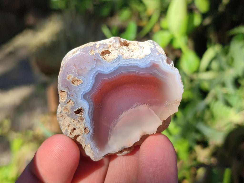 Polished One Side Red Shashe River Agate Nodules x 24 From Shashe River, Zimbabwe - Toprock Gemstones and Minerals 
