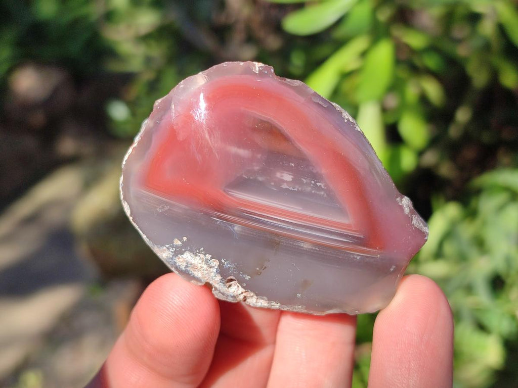 Polished One Side Red Shashe River Agate Nodules x 24 From Shashe River, Zimbabwe - Toprock Gemstones and Minerals 