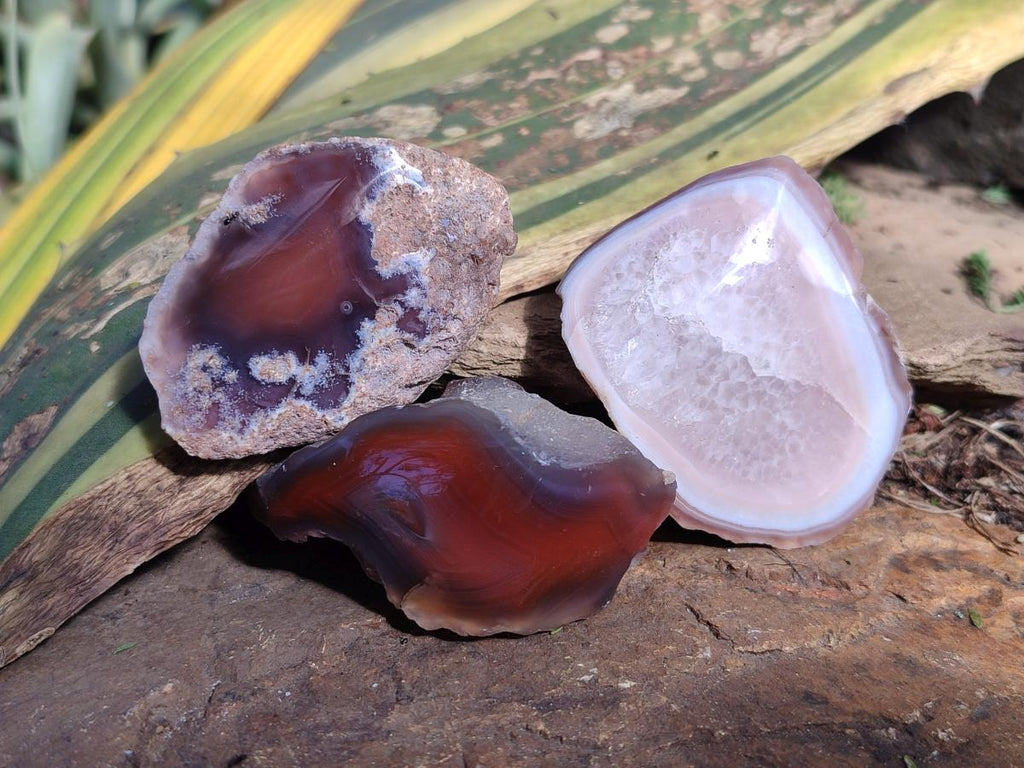 Polished One Side Red Shashe River Agate Nodules x 24 From Shashe River, Zimbabwe - Toprock Gemstones and Minerals 