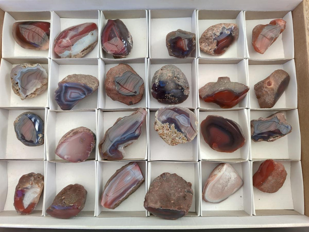Polished One Side Red Shashe River Agate Nodules x 24 From Shashe River, Zimbabwe - Toprock Gemstones and Minerals 