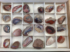 Polished One Side Red Shashe River Agate Nodules x 24 From Shashe River, Zimbabwe - Toprock Gemstones and Minerals 