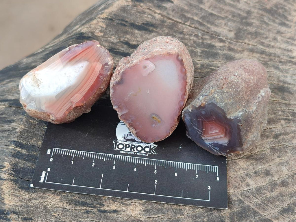 Polished One Side Red Shashe River Agate Nodules x 24 From Shashe River, Zimbabwe - Toprock Gemstones and Minerals 