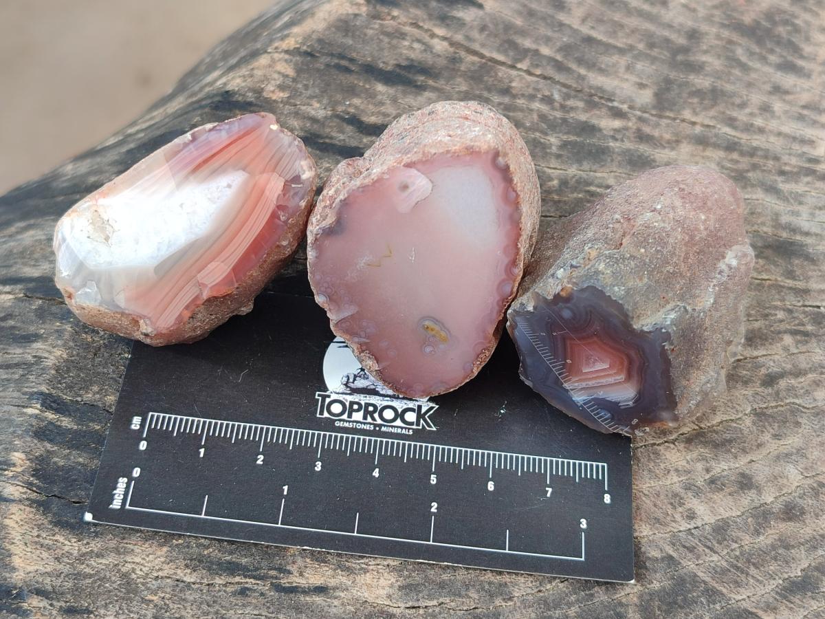 Polished One Side Red Shashe River Agate Nodules x 24 From Shashe River, Zimbabwe - Toprock Gemstones and Minerals 