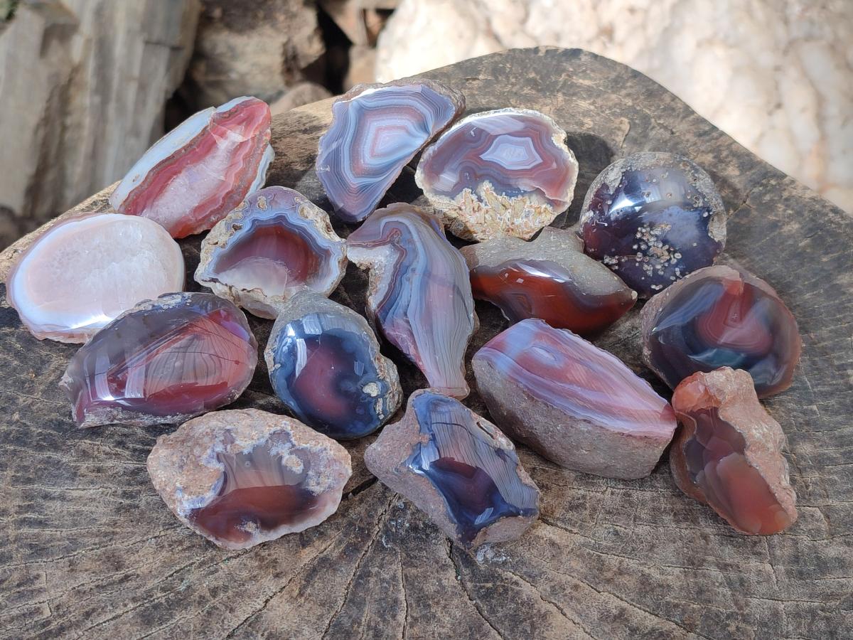 Polished One Side Red Shashe River Agate Nodules x 24 From Shashe River, Zimbabwe - Toprock Gemstones and Minerals 