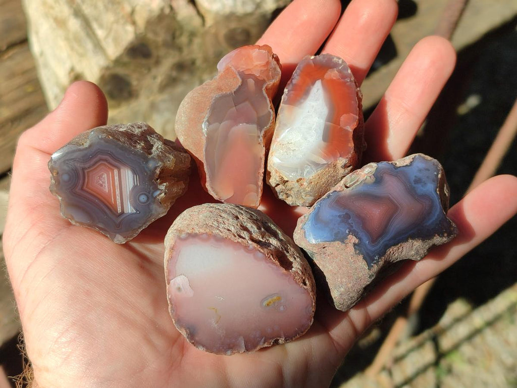 Polished One Side Red Shashe River Agate Nodules x 24 From Shashe River, Zimbabwe - Toprock Gemstones and Minerals 
