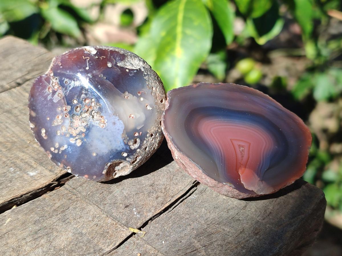 Polished One Side Red Shashe River Agate Nodules x 24 From Shashe River, Zimbabwe - Toprock Gemstones and Minerals 