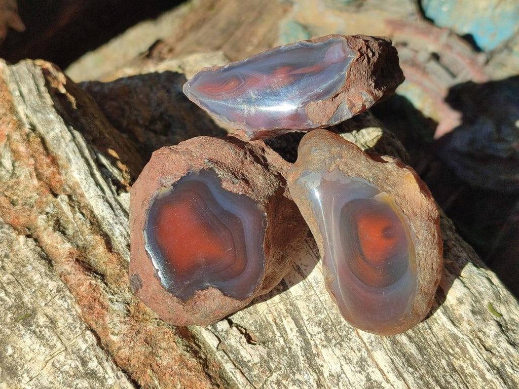 Polished One Side Red Shashe River Agate Nodules x 24 From Shashe River, Zimbabwe - Toprock Gemstones and Minerals 