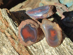 Polished One Side Red Shashe River Agate Nodules x 24 From Shashe River, Zimbabwe - Toprock Gemstones and Minerals 