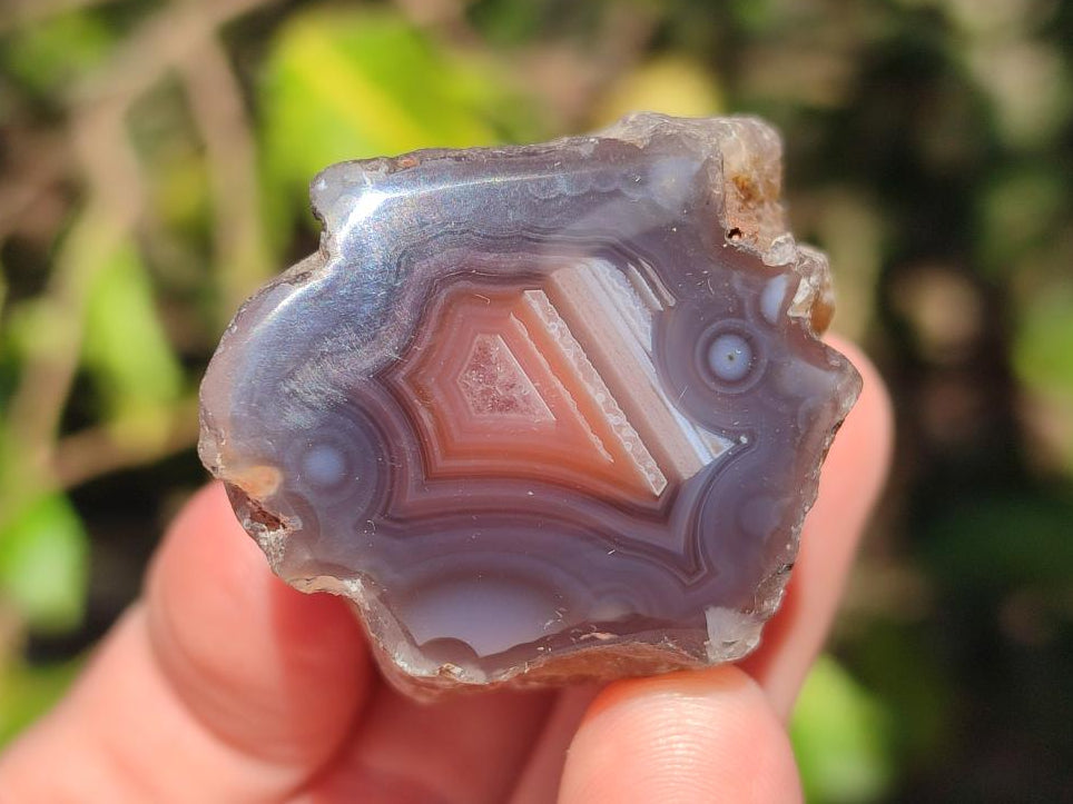 Polished One Side Red Shashe River Agate Nodules x 24 From Shashe River, Zimbabwe - Toprock Gemstones and Minerals 