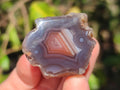 Polished One Side Red Shashe River Agate Nodules x 24 From Shashe River, Zimbabwe - Toprock Gemstones and Minerals 
