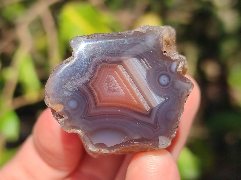 Polished One Side Red Shashe River Agate Nodules x 24 From Shashe River, Zimbabwe - Toprock Gemstones and Minerals 