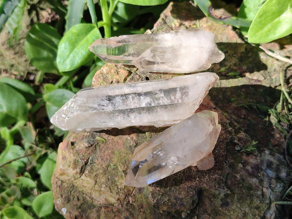 Natural Malagasy Quartz Crystals x 55 From Madagascar - Toprock Gemstones and Minerals 
