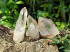 Natural Malagasy Quartz Crystals x 55 From Madagascar - Toprock Gemstones and Minerals 