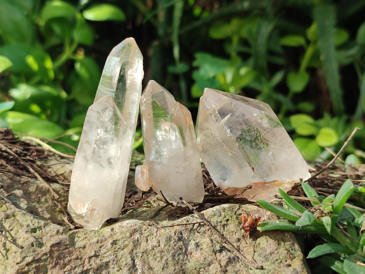 Natural Malagasy Quartz Crystals x 55 From Madagascar - Toprock Gemstones and Minerals 