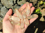 Natural Malagasy Quartz Crystals x 55 From Madagascar - Toprock Gemstones and Minerals 