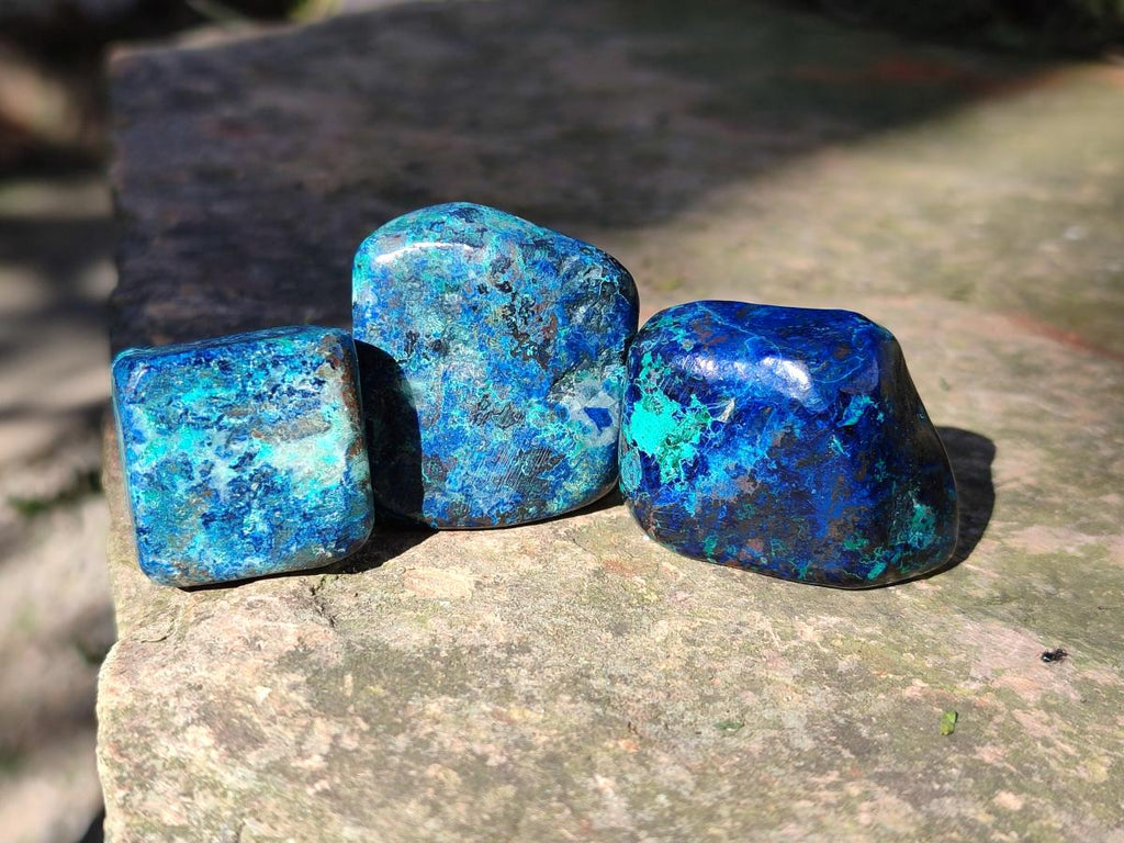 Polished Shattuckite Free Forms x 35 From Congo - Toprock Gemstones and Minerals 