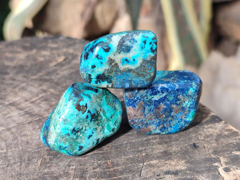 Polished Shattuckite Free Forms x 35 From Congo - Toprock Gemstones and Minerals 