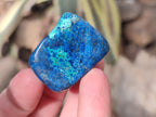 Polished Shattuckite Free Forms x 35 From Congo - Toprock Gemstones and Minerals 