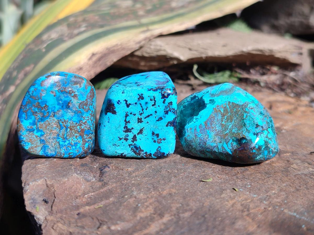 Polished Shattuckite Free Forms x 35 From Congo - Toprock Gemstones and Minerals 