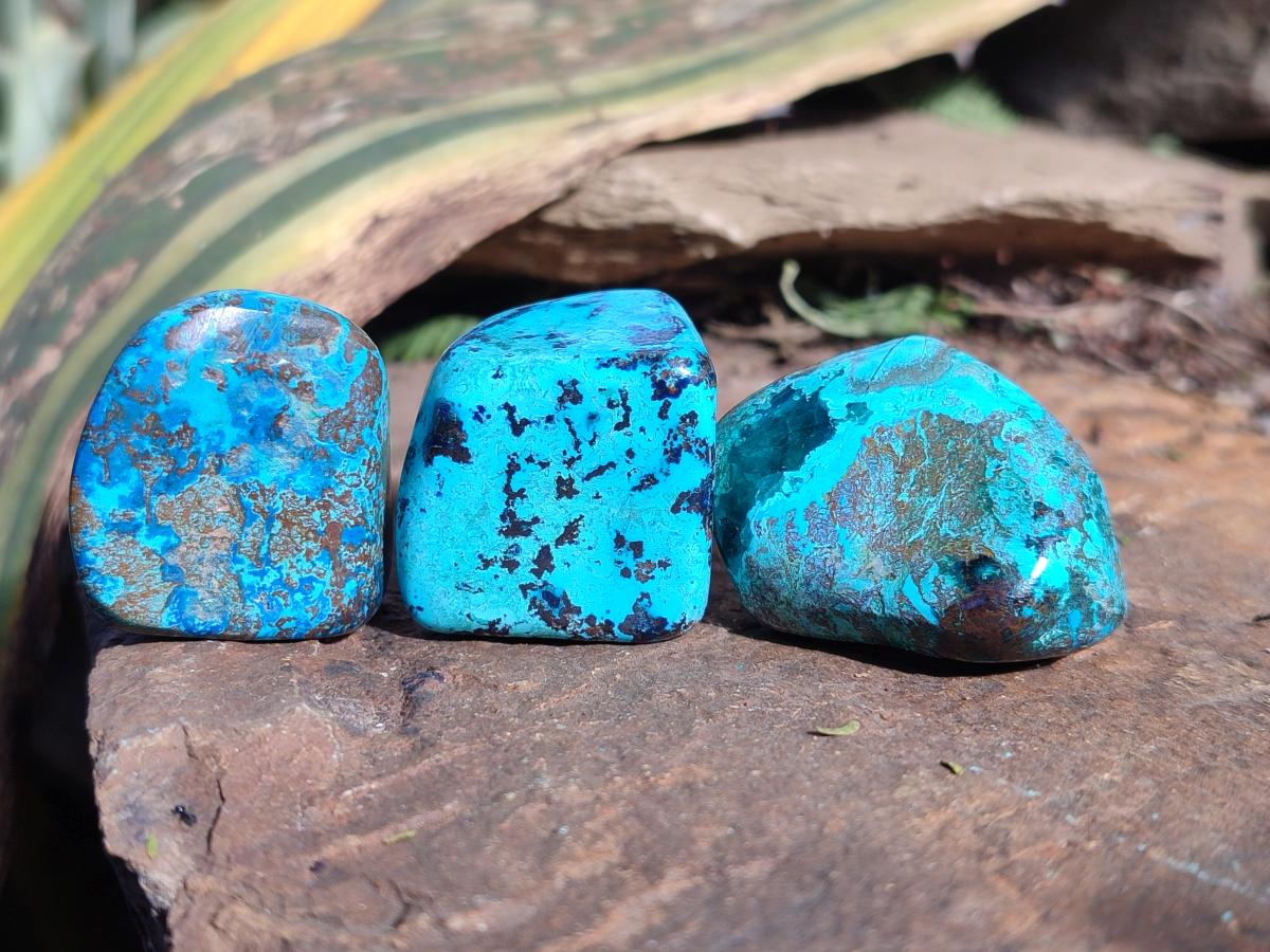 Polished Shattuckite Free Forms x 35 From Congo - Toprock Gemstones and Minerals 