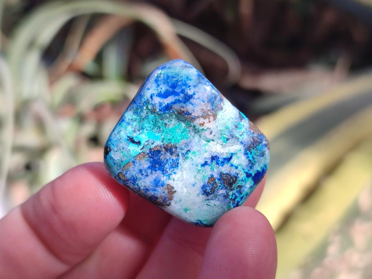Polished Shattuckite Free Forms x 35 From Congo - Toprock Gemstones and Minerals 