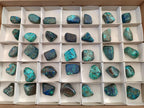 Polished Shattuckite Free Forms x 35 From Congo - Toprock Gemstones and Minerals 