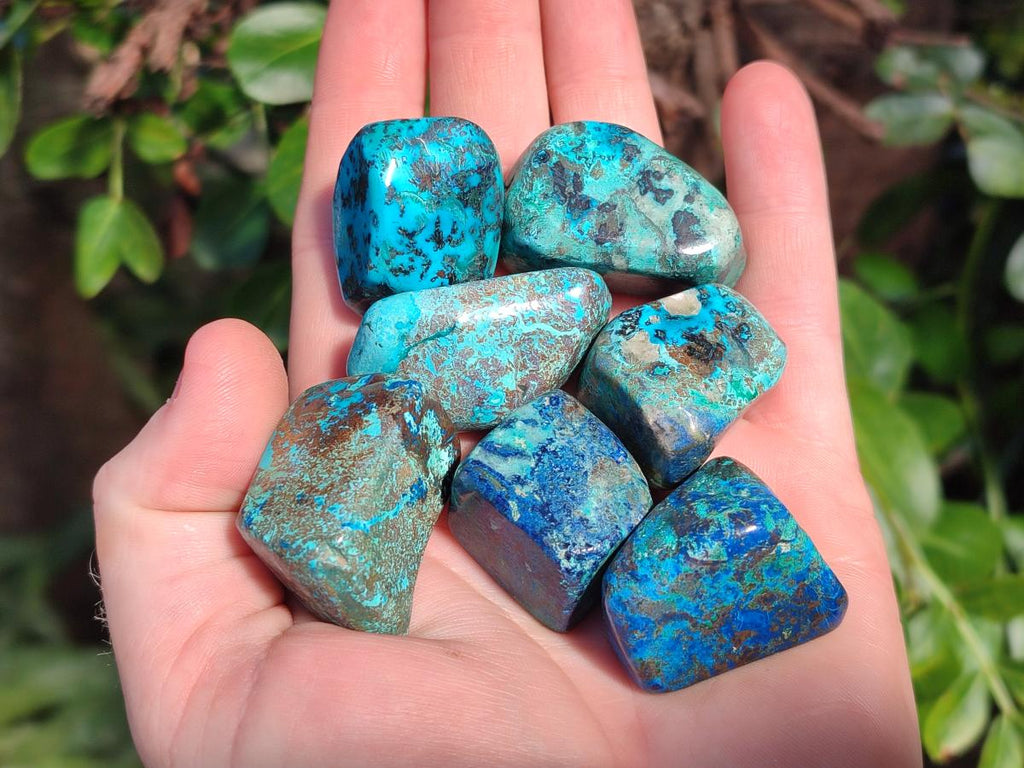 Polished Shattuckite Free Forms x 35 From Congo - Toprock Gemstones and Minerals 