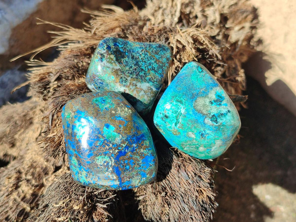 Polished Shattuckite Free Forms x 35 From Congo - Toprock Gemstones and Minerals 