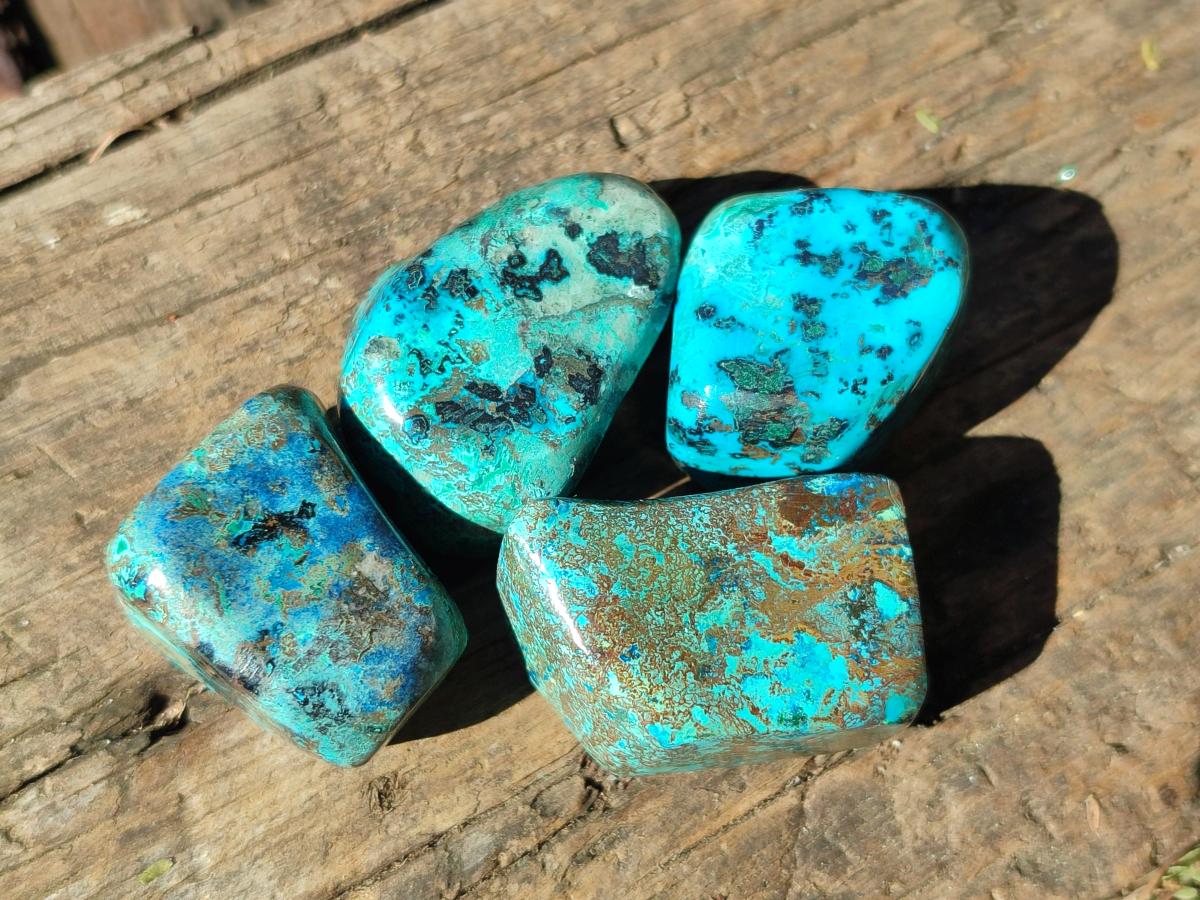 Polished Shattuckite Free Forms x 35 From Congo - Toprock Gemstones and Minerals 