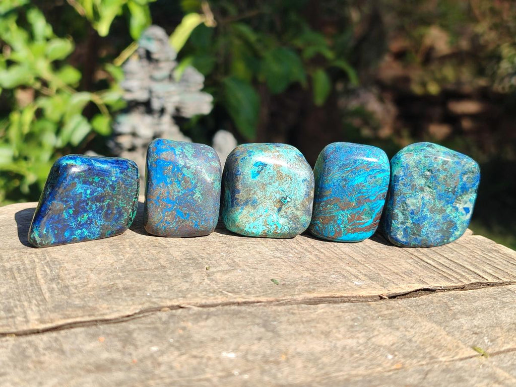 Polished Shattuckite Free Forms x 35 From Congo - Toprock Gemstones and Minerals 