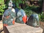 Polished Bloodstone Standing Display Pieces x 3 From Swaziland - Toprock Gemstones and Minerals 