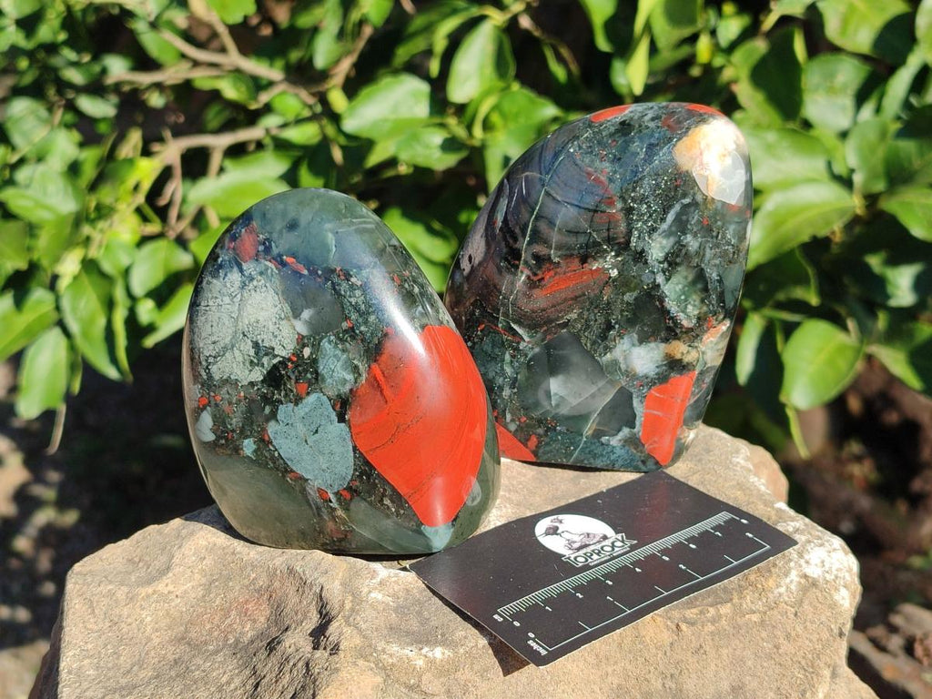 Polished Bloodstone Standing Display Pieces x 3 From Swaziland - Toprock Gemstones and Minerals 