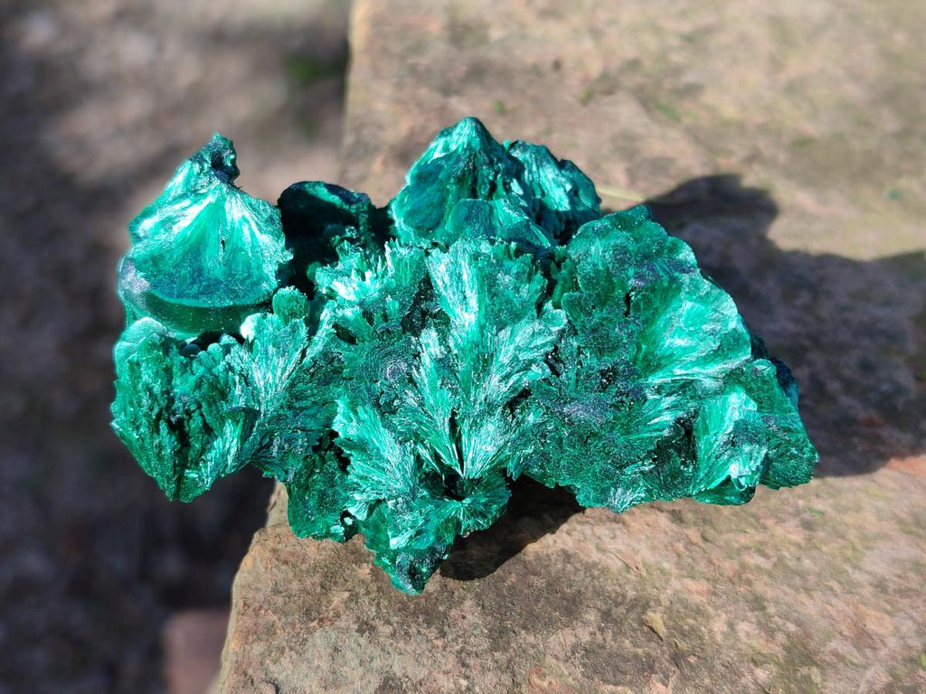Natural Silky Malachite Specimens x 6 From Kasompe, Congo - Toprock Gemstones and Minerals 