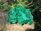 Natural Silky Malachite Specimens x 6 From Kasompe, Congo - Toprock Gemstones and Minerals 