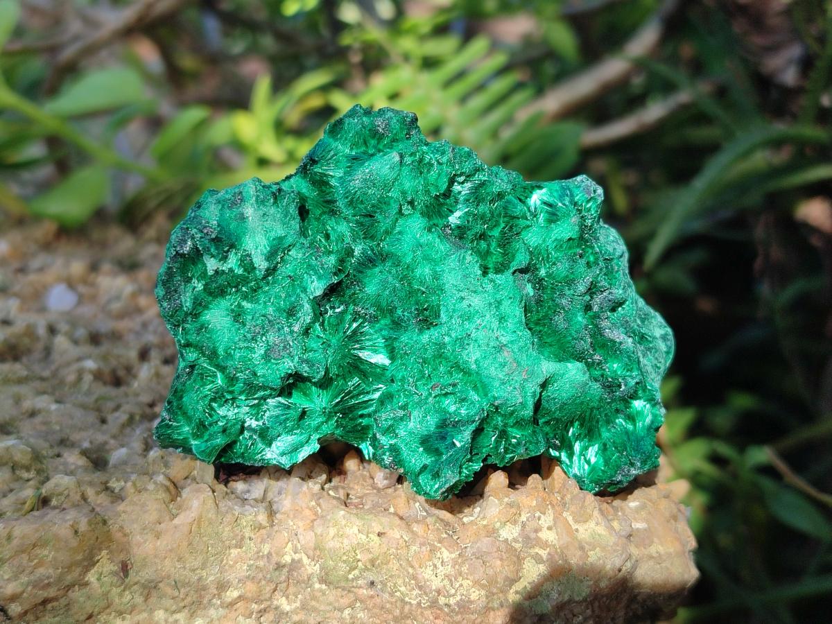 Natural Silky Malachite Specimens x 6 From Kasompe, Congo - Toprock Gemstones and Minerals 