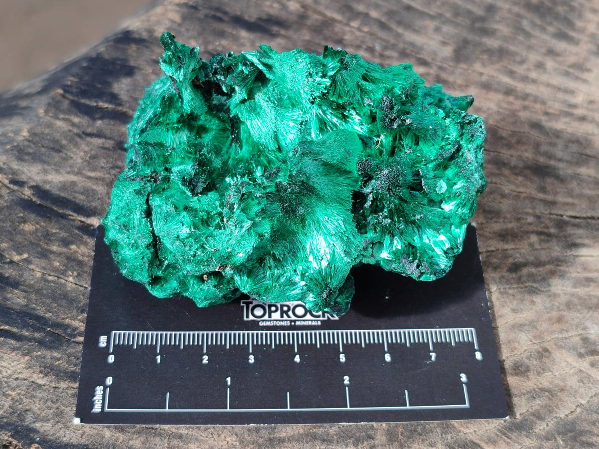 Natural Silky Malachite Specimens x 6 From Kasompe, Congo - Toprock Gemstones and Minerals 