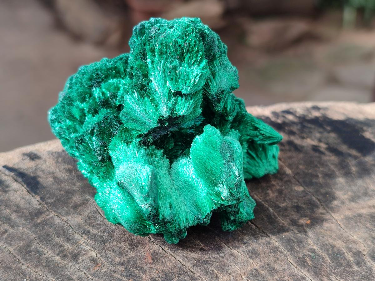 Natural Silky Malachite Specimens x 6 From Kasompe, Congo - Toprock Gemstones and Minerals 
