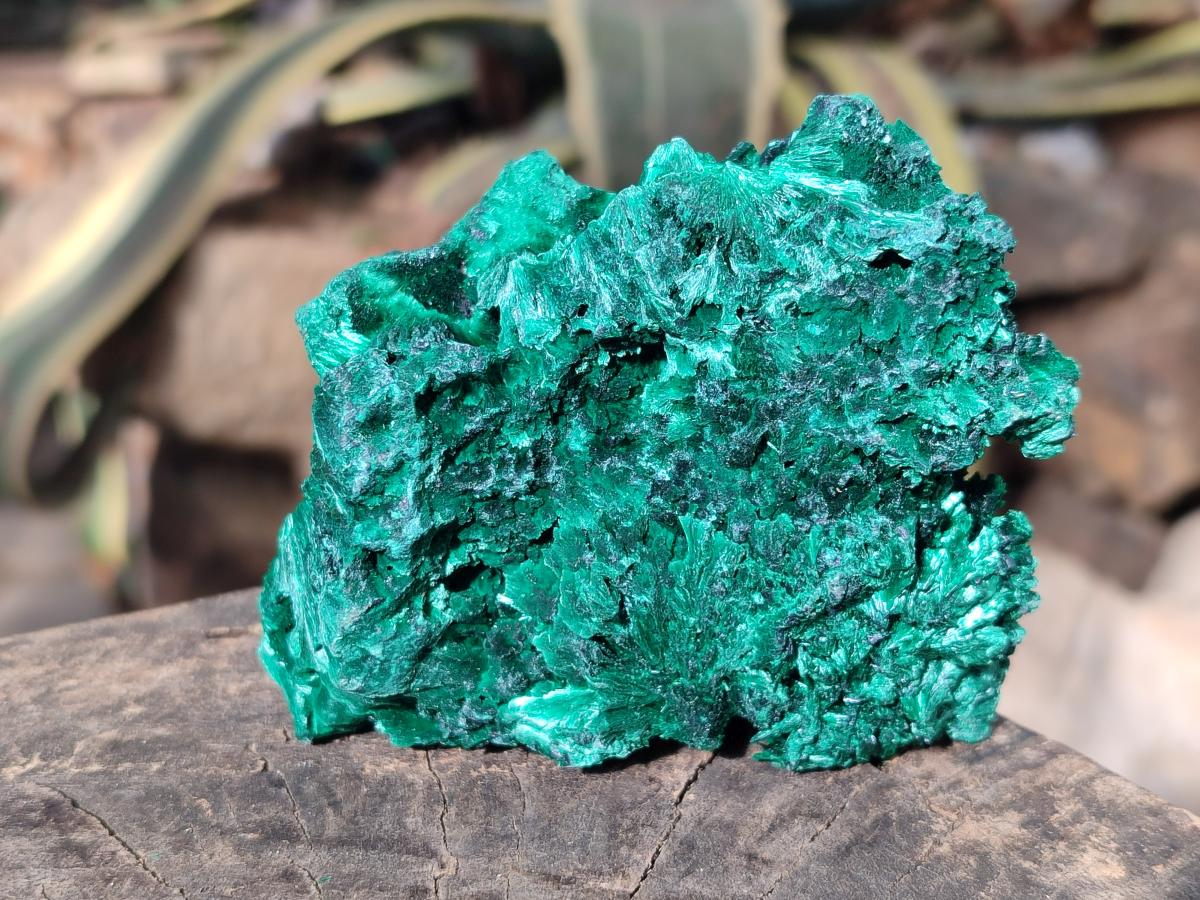 Natural Silky Malachite Specimens x 6 From Kasompe, Congo - Toprock Gemstones and Minerals 