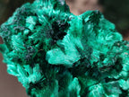 Natural Silky Malachite Specimens x 6 From Kasompe, Congo - Toprock Gemstones and Minerals 
