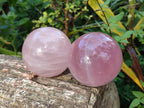 Polished Gemmy Star Rose Quartz Spheres x 3 From Madagascar - Toprock Gemstones and Minerals 